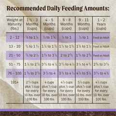Merrick Premium Grain Free Dry Puppy Food, Wholesome and Natural Kibble with Real Texas Beef and Sweet Potato