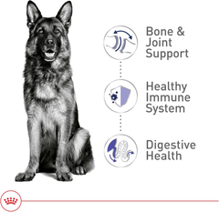 Royal Canin Size Health Nutrition Large Adult Dry Dog Food