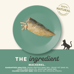 Applaws Mackerel Loin Cat Treat 12 / 1.06 oz