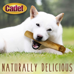 Cadet Premium Grade Beef Hide for Dogs, Long Lasting Rawhide Retriever Rolls, Single Ingredient Dog Chews, Peanut Butter Flavor, 10 Inch