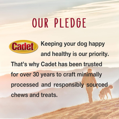 Cadet Gourmet Shish Kabob Dog Chews for Large Dogs, Rawhide Treats with Chicken and Sweet Potato, Healthy & Natural Beef Hide, 10-Inch Sticks