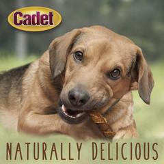Cadet Gourmet Triple Chews Long-Lasting Pork Hide Sticks with Sweet Potato and Chicken, Healthy Dog Treats for Small & Large Dogs