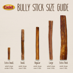 Cadet Bully Sticks for Small Dogs – All-Natural Beef Pizzle, High Protein, Low Fat, Long-Lasting, Grain & Rawhide-Free Dog Chews for Aggressive Chewers, Small