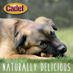 Cadet Gourmet Chicken & Apple Wrapped Dog Treats Wraps - Healthy & Natural Chicken & Apple Dog Training Treats for Small & Large Dogs - Inspected & Tested in USA