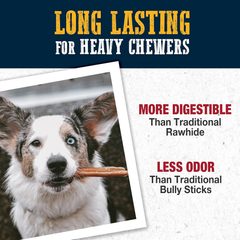 Cadet Bully Hide Sticks for Small Dogs, All-Natural Beef Pizzle, Limited-Ingredient Long-Lasting Dog Chews for Aggressive Chewers