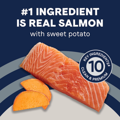 Canidae Pure Real Salmon & Sweet Potato Recipe Adult Dry Dog