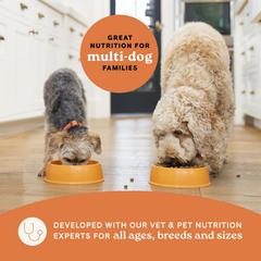 Canidae All Life Stages Multi-Protein Recipe with Chicken, Turkey, Lamb, and Fish – High Protein Premium Dry Dog Food for All Ages, Breeds, and Sizes
