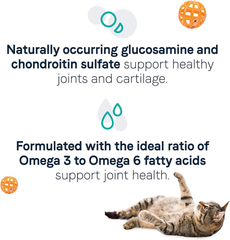 Canidae Goodness for Joints, Premium Adult Dry Cat Food with Real Salmon