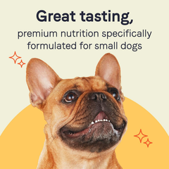 Canidae PURE Petite Limited Ingredient Premium Small Breed Wet Dog Food, Salmon and Shrimp Pâté