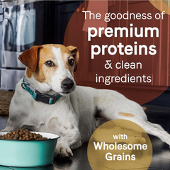 CANIDAE Pure Real Lamb & Brown Rice Recipe Dog Dry