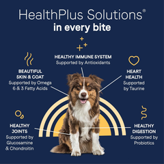 Canidae Pure Limited Ingredient Premium Adult Dry Dog Food, Real Chicken, Lentil & Potato Recipe, Grain Free