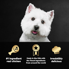 CESAR Adult Soft Wet Dog Food Classic Loaf in Sauce, Grilled Chicken Flavor