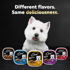 CESAR Adult Soft Wet Dog Food Classic Loaf in Sauce, Chicken & Liver Recipe
