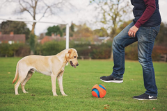 Chuckit! Kick Fetch Ball Large