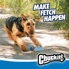 Chuckit! Ultra Squeaker Balls for Dogs, Floating Water Pet Toys, Durable Rubber Pet Toy, Bouncy Squeaky Fetch Balls For Dogs, Pack of 2