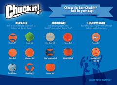 Chuckit! Ultra Squeaker Ball Dog Toy