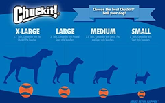 Chuckit! Ultra Squeaker Ball Dog Toy