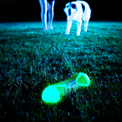 Chuckit! 32308 Tumble Bumper Max Glow