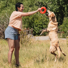 Chuckit! Air Fetch Wheel Doy Toy, Orange