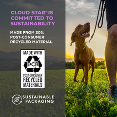 Cloud Star Wag More Bark Less Grain Free Jerky Dog Treats with Duck & Apple