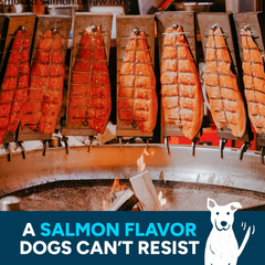 Cloud Star Wag More Bark Less Jerky Dog Treats, Smoked Salmon