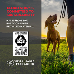 Cloud Star Wag More Bark Less Jerky Grain Free Dog Treats, Texas BBQ Beef