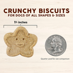Cloud Star Wag More Bark Less Crunchy Grain Free Dog Treats, Pumpkin