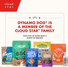 Cloud Star Dynamo Dog Tummy Treats – Soft & Chewy Probiotics Support for Dogs