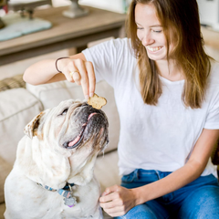 Cloud Star Wag More Bark Less - Dog Treats - Crunchy Biscuits - Grain Free Chicken & Sweet Potato
