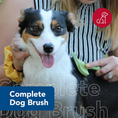 Coastal Pet Safari Complete Dog Brush - 2-in-1 Design Dog Slicker Brush with Grooming Bristles - Detangling & Dematting Dog Brush