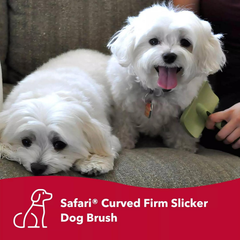 Coastal Dog Slicker Brush, Green - Grooming & Shedding Brush for Dogs of All Hair Types - Curved Design for Easy Detangling - Non-Slip Handle