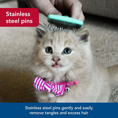 Coastal Pet Li'l Pals - Kitten Slicker Brush with Coated Tips