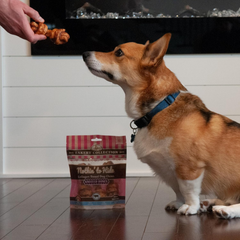 Nothin' to Hide Collagen-Based Dog Chews Small Knotted Bones, Beef Flavor, Easily Digestible, Supports Skin, Coat, Joints & Muscles, for Moderate Chewers Under 15lbs
