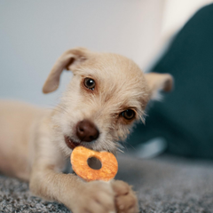 Fieldcrest Farms Nothin' to Hide Chicken Rings and Bones, 12 Count Each, Rawhide Alternative Dog Chews