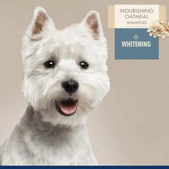 Four Paws Magic Coat Professional Series Nourishing Oatmeal Dog Whitening Shampoo