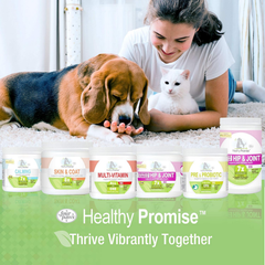 Four Paws Healthy Promise Pre and Probiotics for Dogs Soft Chews 90 count