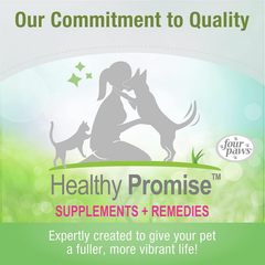 Four Paws Healthy Promise Pet Pill Dispenser