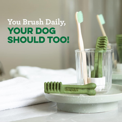 Greenies Puppy 6+ Months Regular Natural Dog Dental Care Dog Treats