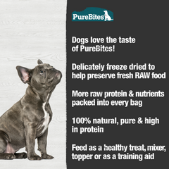 Freeze Dried Beef & Cheese Dog Treats