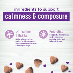 Wellness Tasty Cheese Flavored Soft Chews Calming Supplements for Dogs