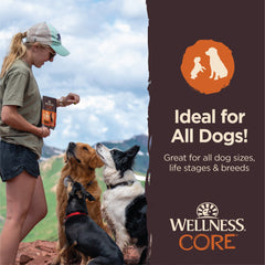 Wellness CORE Grain Free with Turkey & Pomegranate Tiny Trainers Tender Dog Treats, 6 oz.