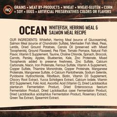 Wellness Core Ocean Dry Dog