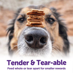 Wellness Rewarding Life Dog Treats, Natural, Training Treat, Grain Free, Soft Beef & Turkey