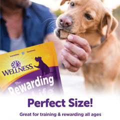 Wellness Rewarding Life Dog Treats, Natural, Training Treat, Grain Free, Soft Turkey & Duck