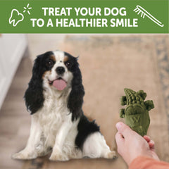 Wellness WHIMZEES Alligator Dog Dental Treats, Natural Chews, Small Size