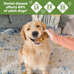 Wellness WHIMZEES Hedgehog Dog Dental Treats, Natural Chews, Large Size