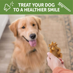 Wellness WHIMZEES Hedgehog Dog Dental Treats, Natural Chews, Large Size
