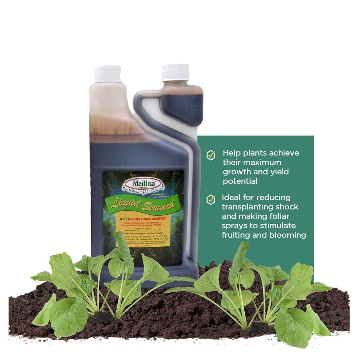 Medina® Liquid Seaweed
