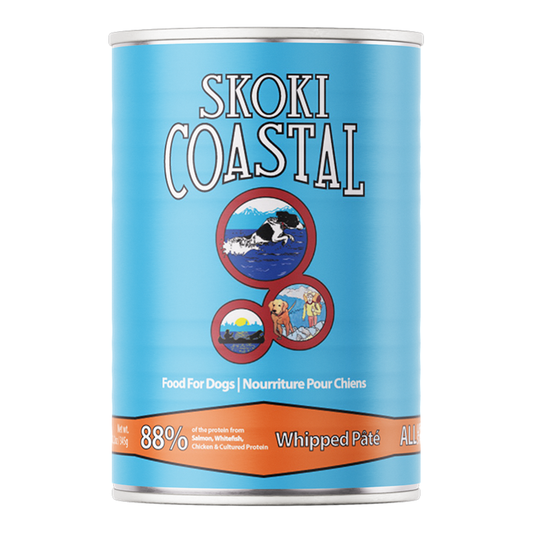 FirstMate Skoki Coastal Wet Dog Food (Pâté) – 12.2oz Can (Single)