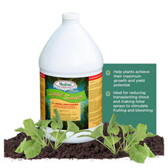 Medina® Liquid Seaweed